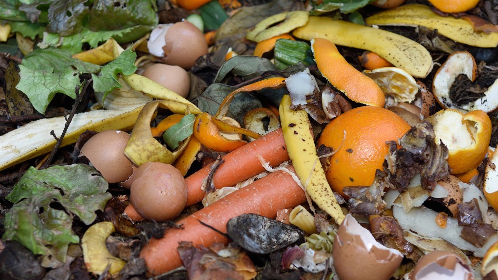 Food Waste Action Week aims to teach Canadians how to produce less food waste