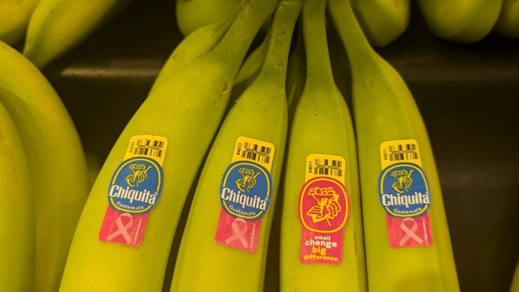 (UPDATED) Compostable produce sticker standard plan moves forward after global meeting