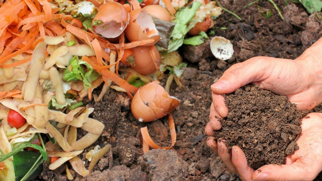 Compost Manufacturer of the Year among winners named at COMPOST2025