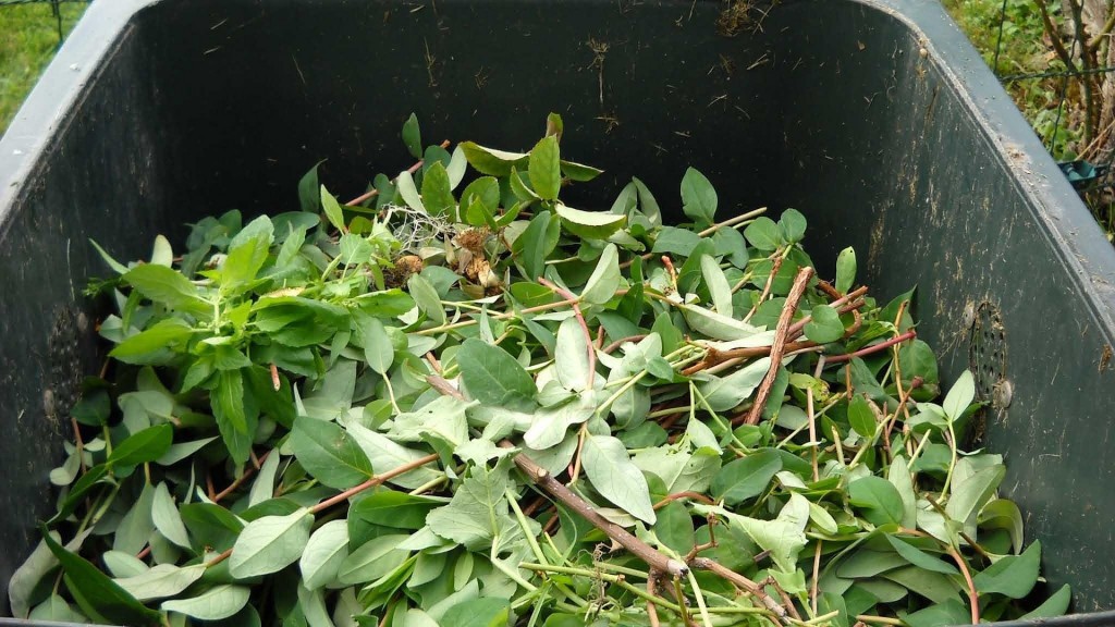 Circular Services expands organics processing capability with Quantum Organics merger