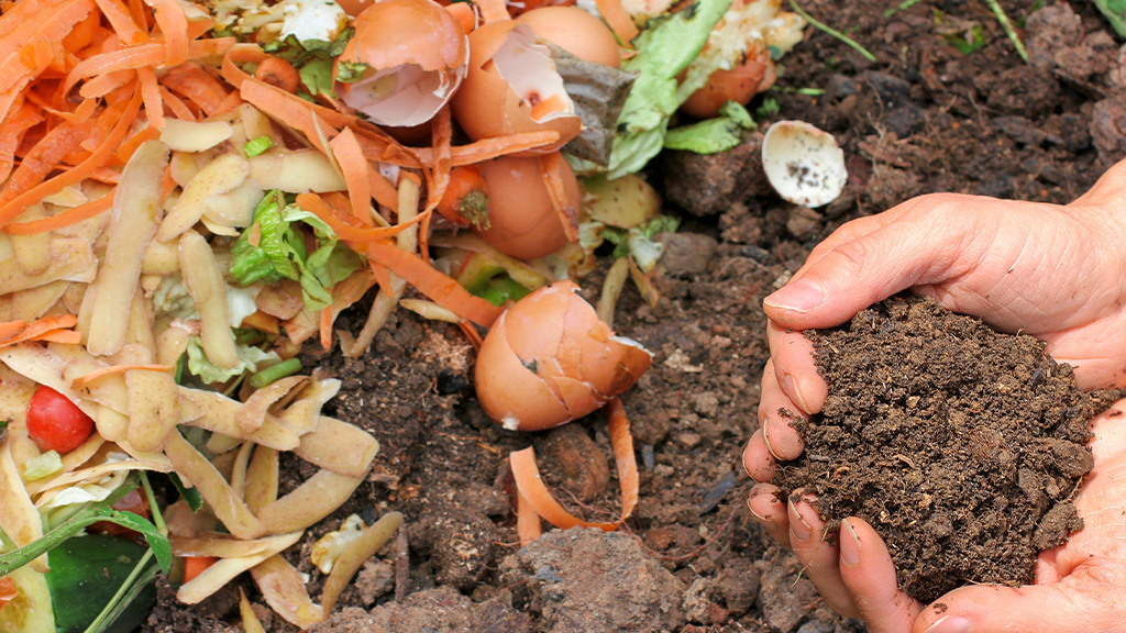 Registration opens for 35th annual Organics Recycling Conference