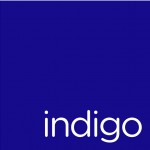 Indigo Environmental Group Logo