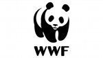 World Wilidlife Fund (WWF) Logo