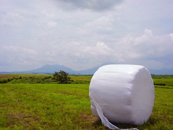 CleanFARMS to develop program to manage agricultural plastic waste in Ontario