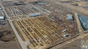 Historic Edmonton, AB auction breaks multiple Company records, including online sales, and number of registered bidders, buyers and sellers Historic Edmonton, AB auction breaks multiple Company records, including online sales, and number of registered bidders, buyers and sellers