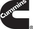 Cummins Named a Top Company for Diversity