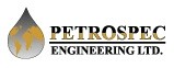 Petroleum engineers and field consultants