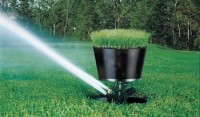 Sprinkler with a built-in natural turf sod cup