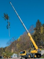 High capacity makes cranes a good choice