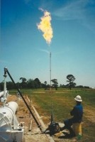 Flare igniters for oil, natural gas, petrochemical and pipeline industry