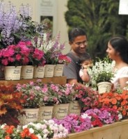 Catching the customer’s attention Catching the customer’s attention