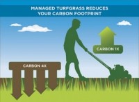 Responsibly managed lawns reduce the carbon footprint