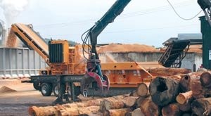 the future in  bio-sawdust