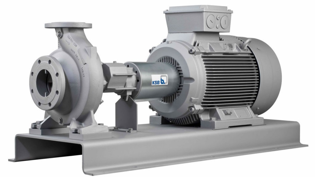 High-temperature pumps improved with high flow capacities