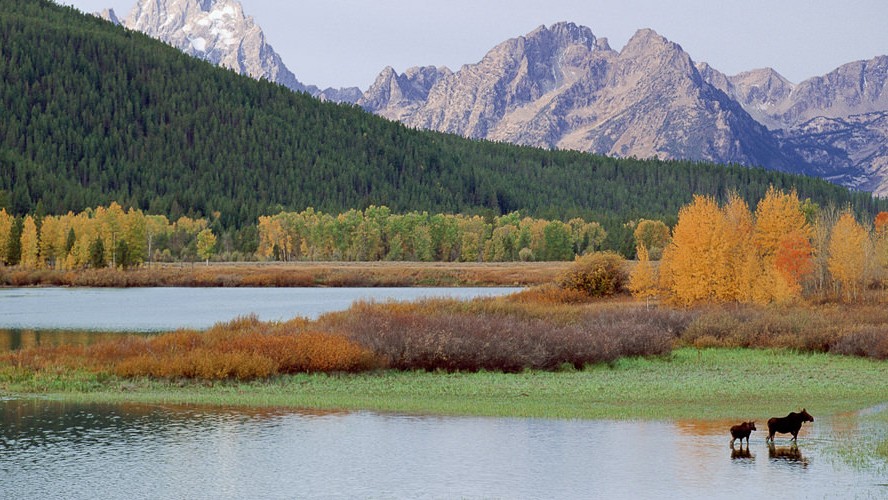 Natural Habitat Adventures, the conservation travel partner of World Wildlife Fund, designed the project in part to raise awareness of the role that plastic waste plays in even the most pristine and protected destinations such as Yellowstone.