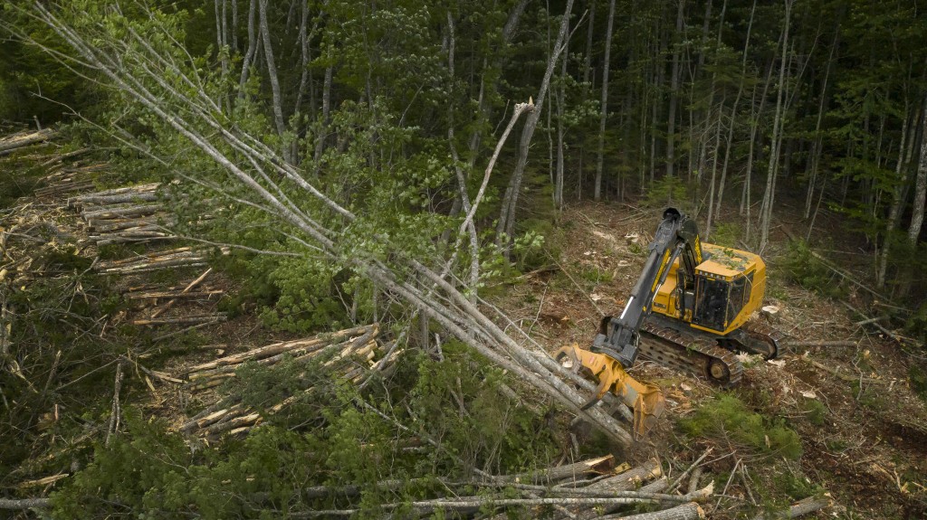 Tigercat feller buncher upgraded to increase production capacity