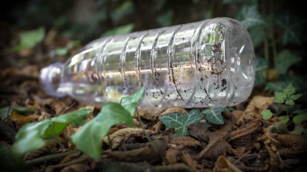 Politicians need to tackle plastics pollution, according to Friends of the Earth poll
