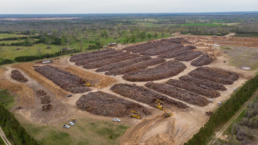 aerial view forests devastated by hurricane being tidied up