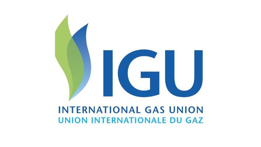IGU logo IGU logo