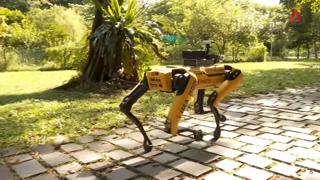 Watch Spot the robot dog enforce social distancing in a Singapore park