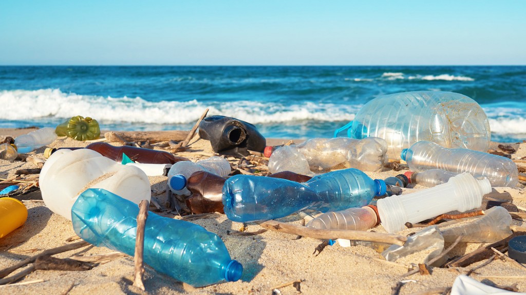 plastic waste on a beach