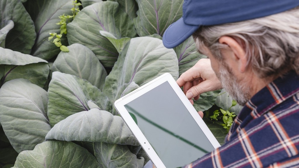 man works on a tablet