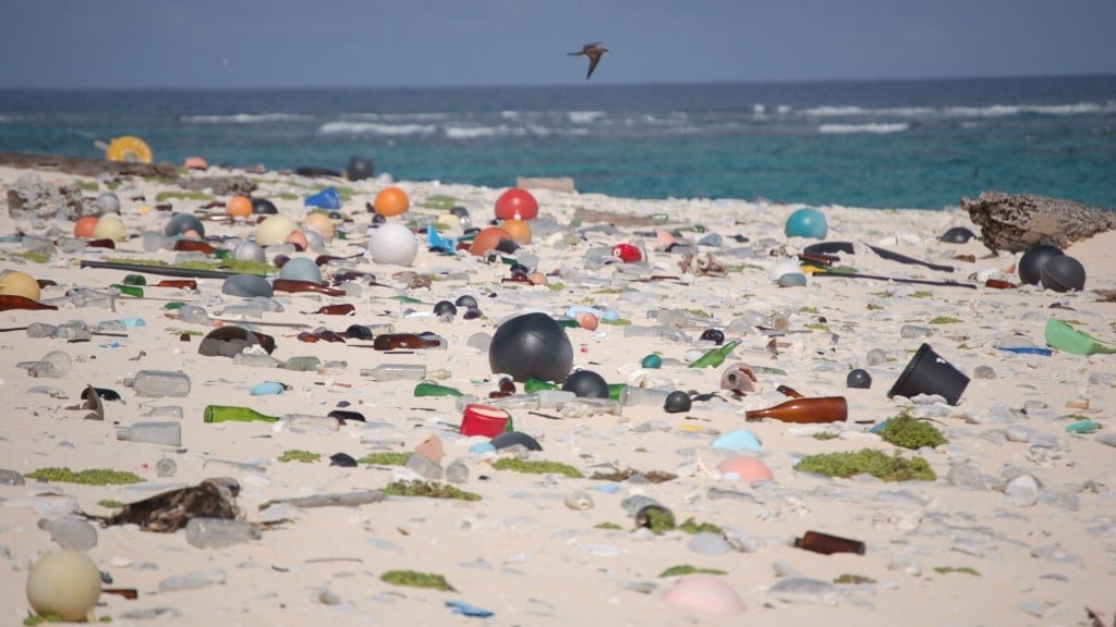 a sandy beach covered with plastic objects