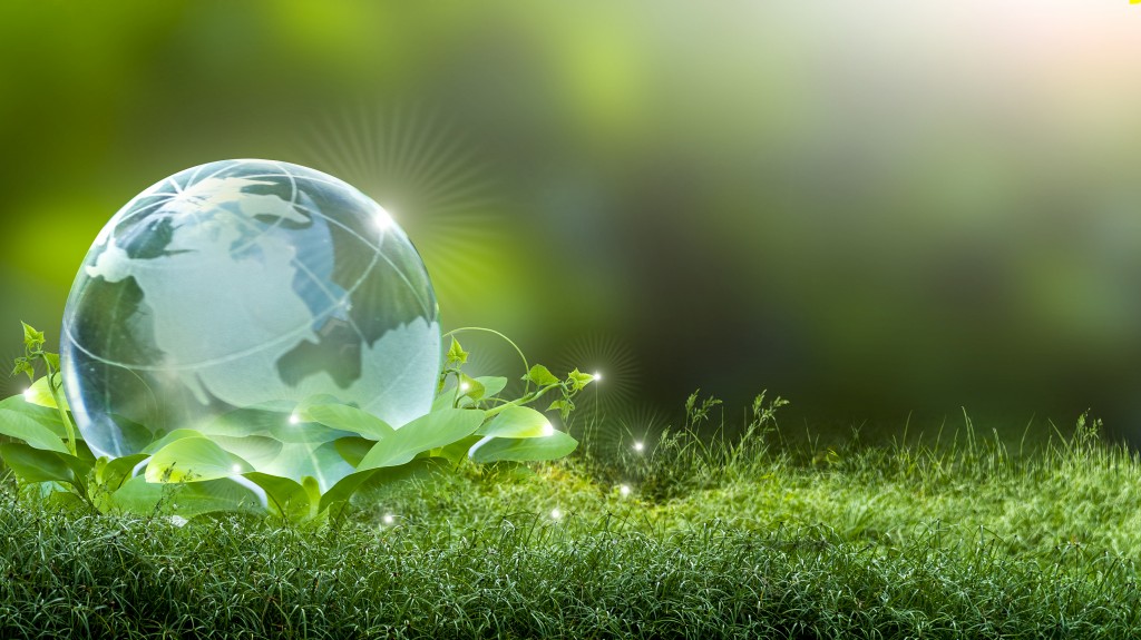 A small earth globe sitting in a bed of grass