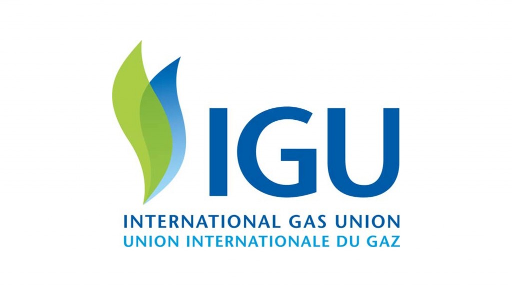 IGU logo IGU logo
