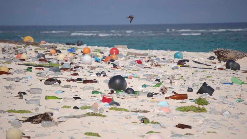 A beach full of discarded plastic