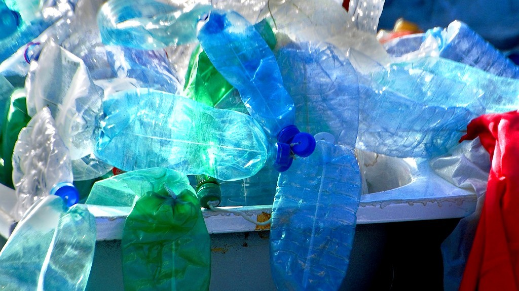 Squished plastic bottles in a blue bin