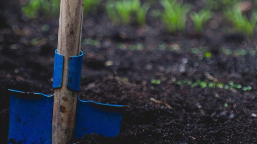 A shovel sticks out of a garden plot