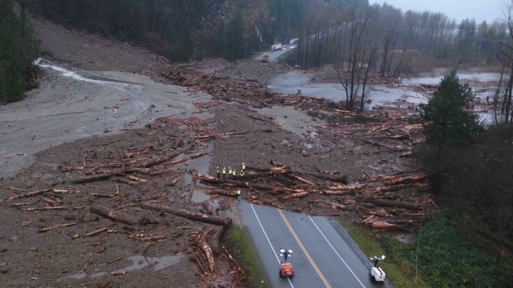 Flooding makes a BC road impassable and uproots trees