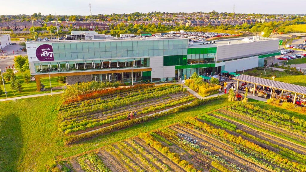 Gardens in front of Durham College, Ontario