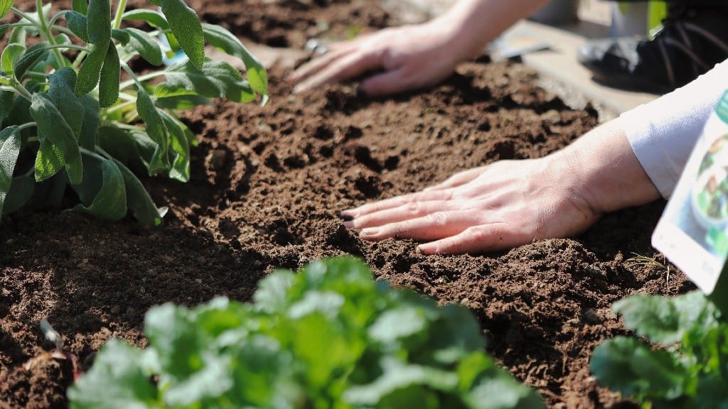 Hands spread out soil in a garden bed