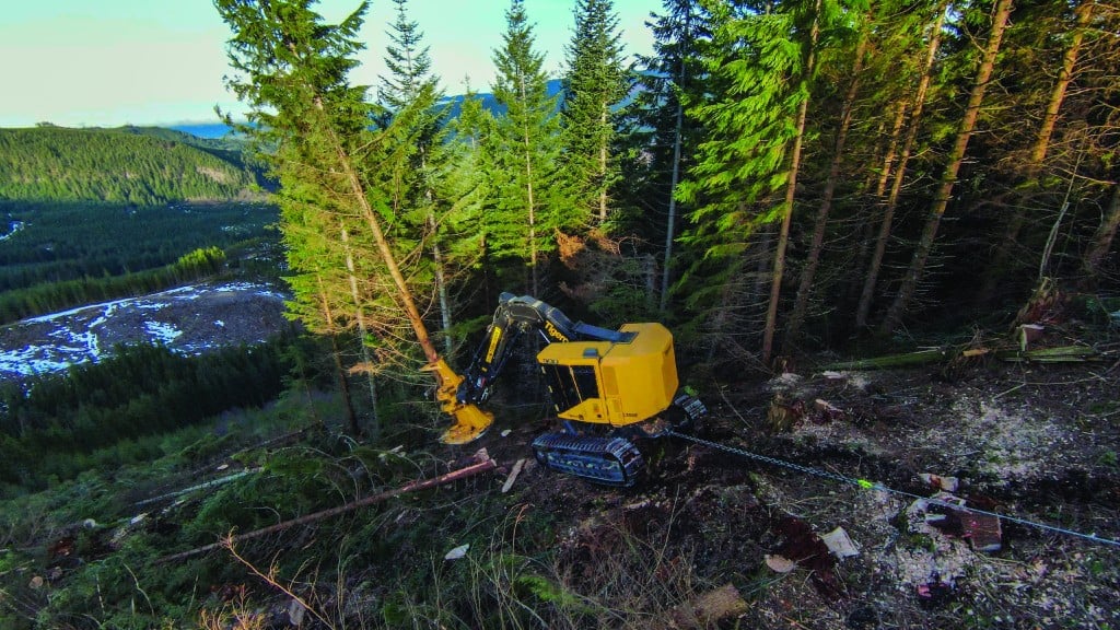 A feller buncher cuts down trees on a sloped incline