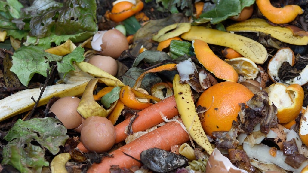 A pile of food scraps composting