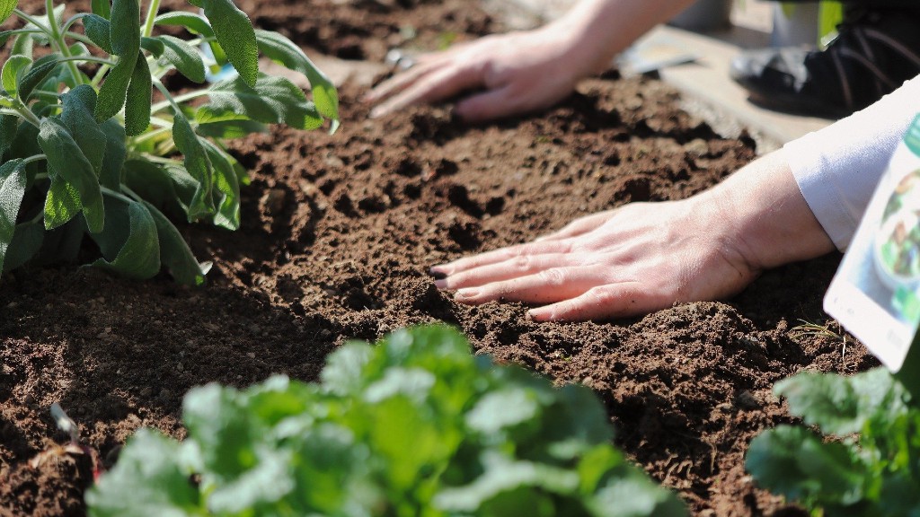 Several hands smooth out soil in a garden