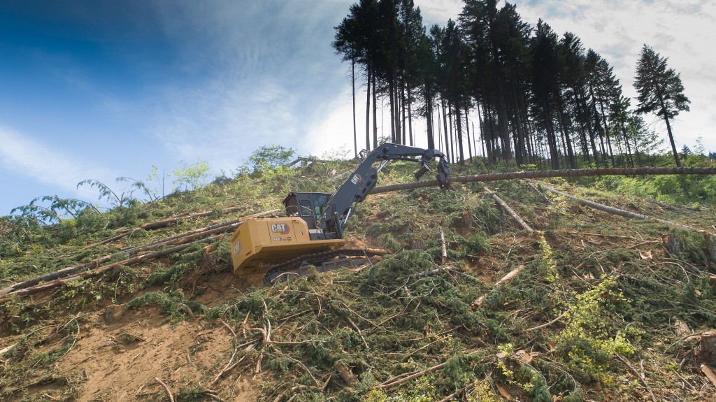 A forestry machines works on a steep hillside