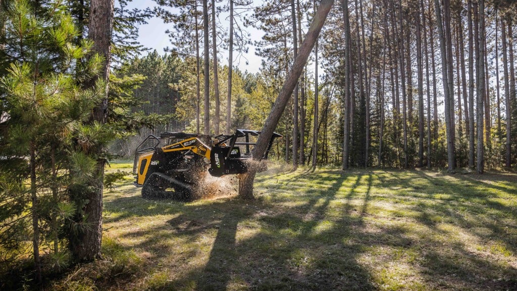 A compact track loader cuts down a tree in a forest