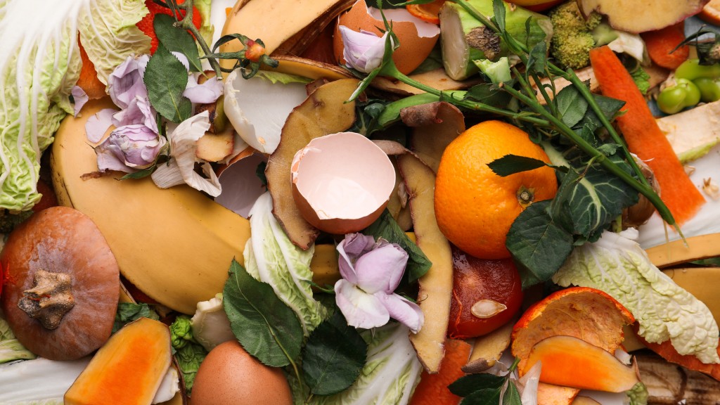 A pile of organic food waste