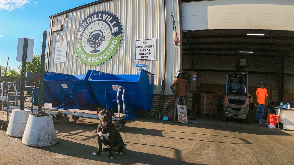A dog sits outside a metal recycling facility