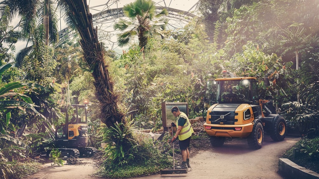 (VIDEO) Landscaping receives electric boost at indoor rainforest attraction