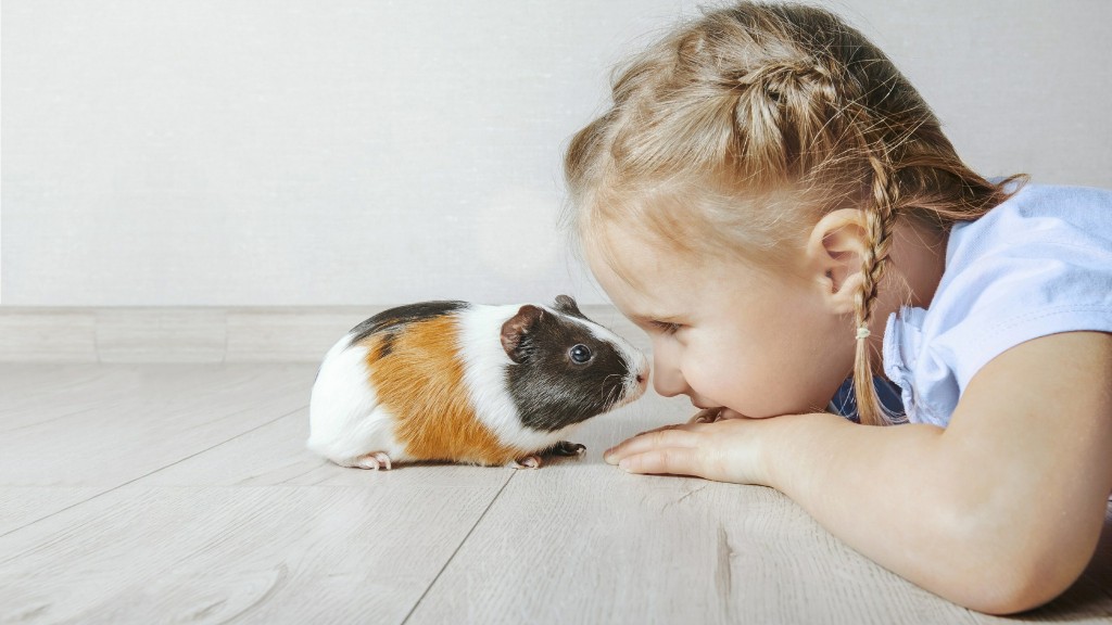 A child stares lovingly into the eyes of a hamster