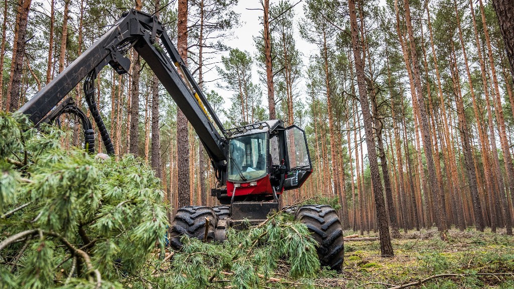 DEMO International is known for its demonstrations of forestry equipment.