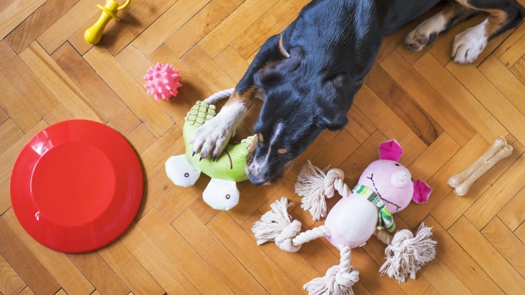 TerraCycle offers a free and easy way to recycle everything from pet food packaging to well-loved accessories and toys so that pet ownership can be sustainable