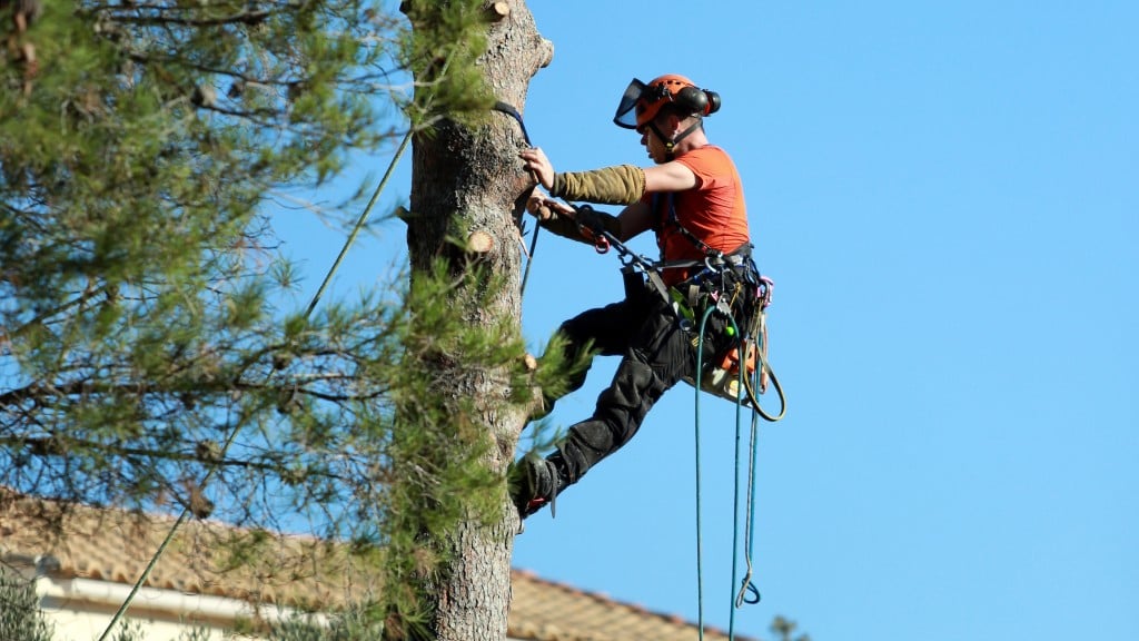 Arborist working on an urban tree beside a house