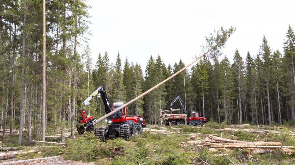 Komatsu to test Cut-to-Length method in forestry operations