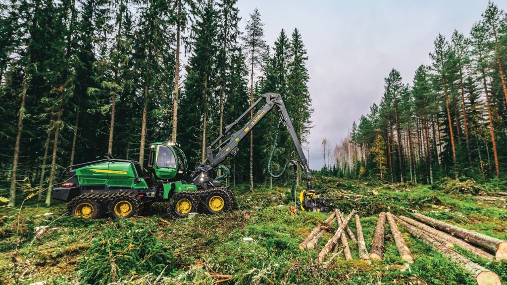 A large green forestry machine working in an area surrounded by large evergreen trees
