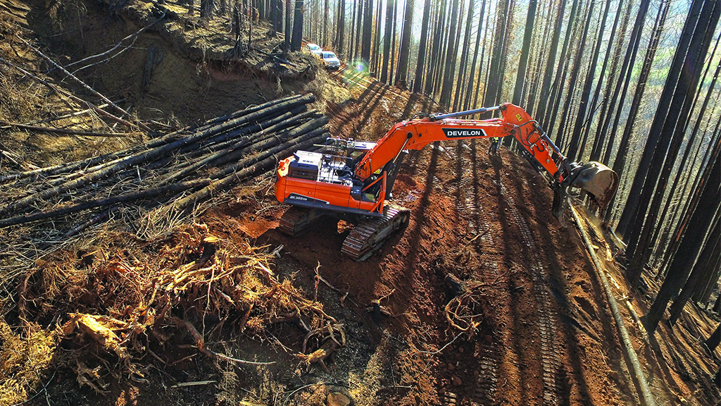 A large forestry machine surrounded by woods on the side of a steep hill A large forestry machine surrounded by woods on the side of a steep hill